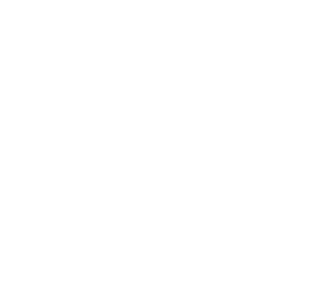 Topiq Socks